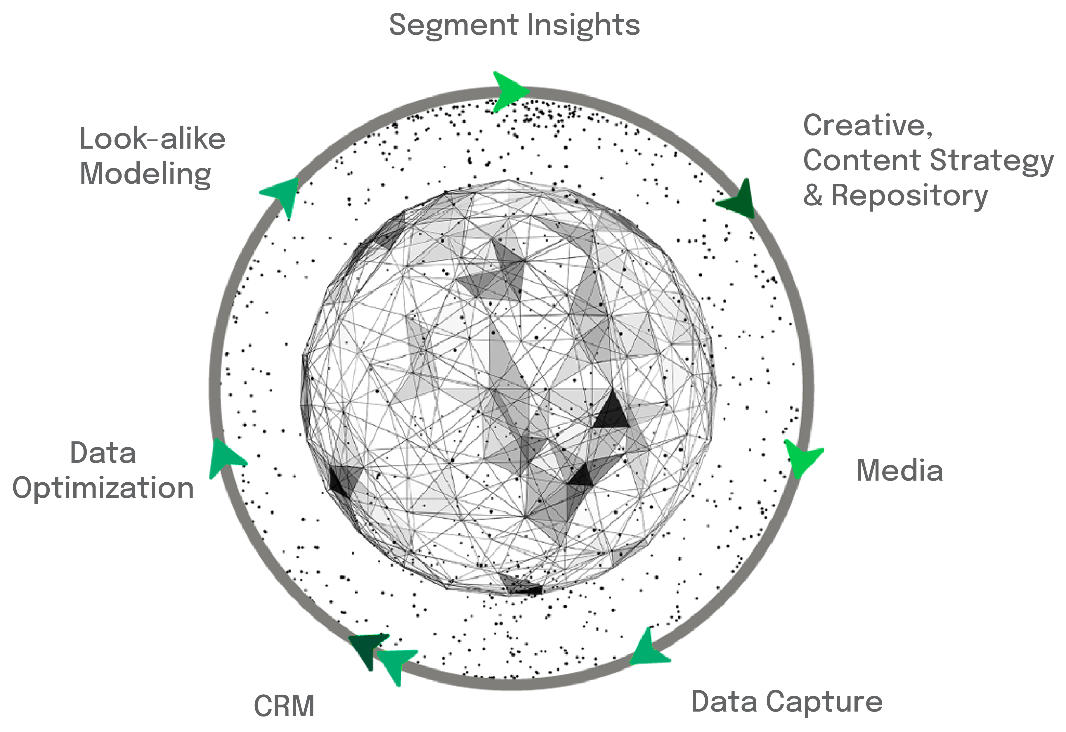 ls-omnichannel-ring (1)-inverted.png